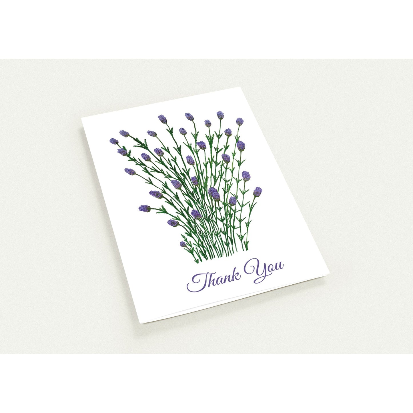 0e23a116-9927-4f09-8b2a-1adf75e8dffb