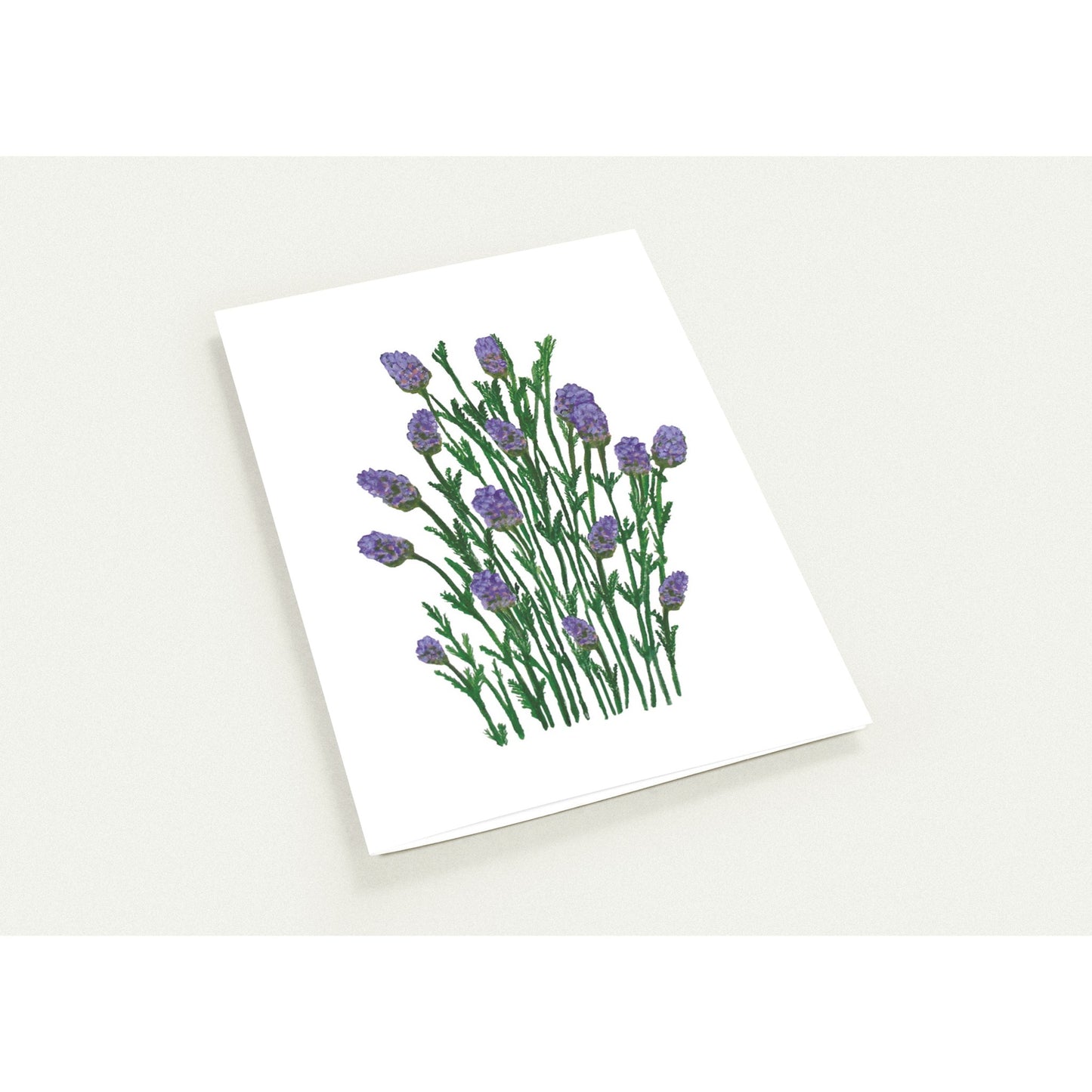 46c8b553-0e91-4bc6-9947-b273b6441f5b