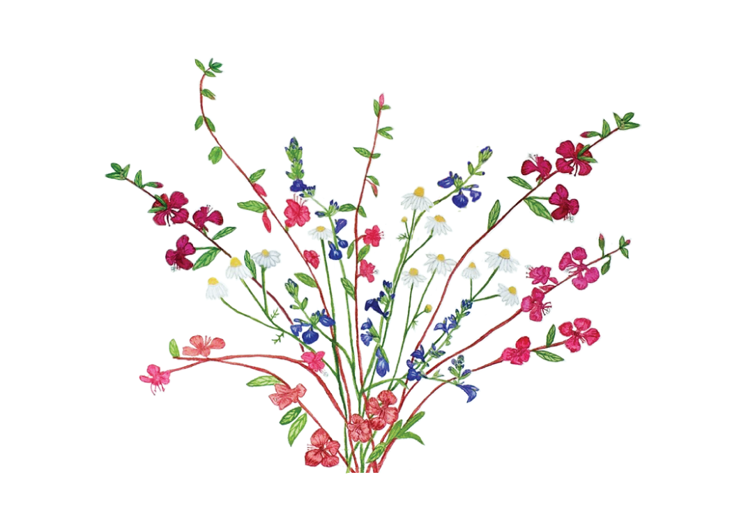 Colorful floral design on a white background