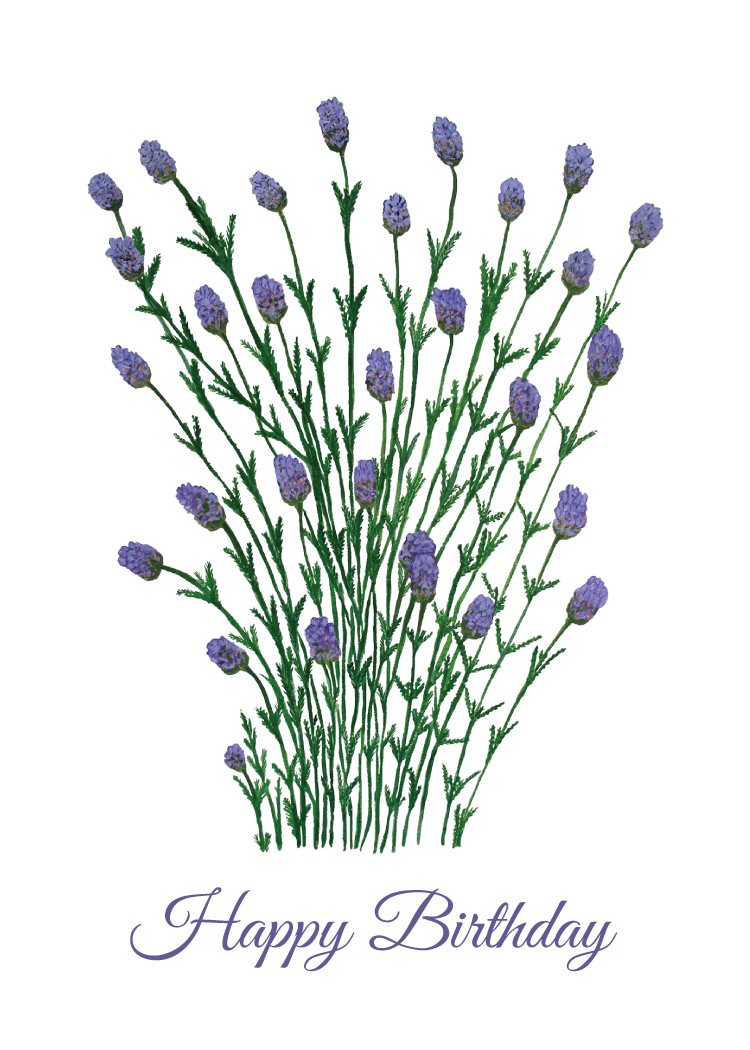 Lavender flowers with 'Happy Birthday' text on a white background