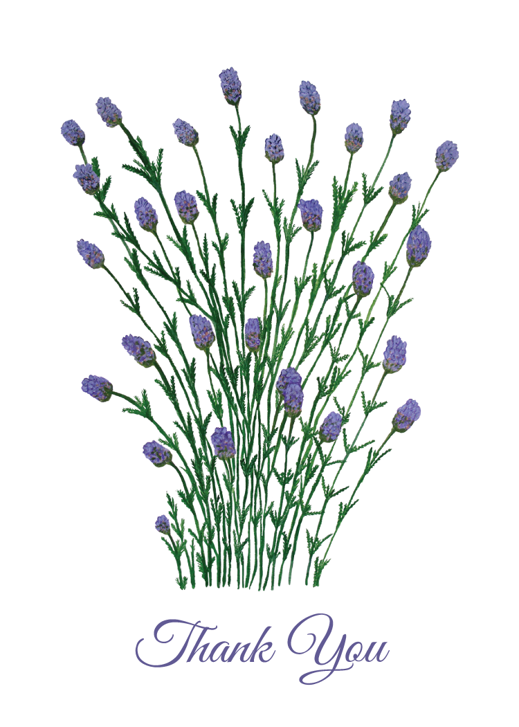 Bouquet of lavender flowers with 'Thank You' text on a white background