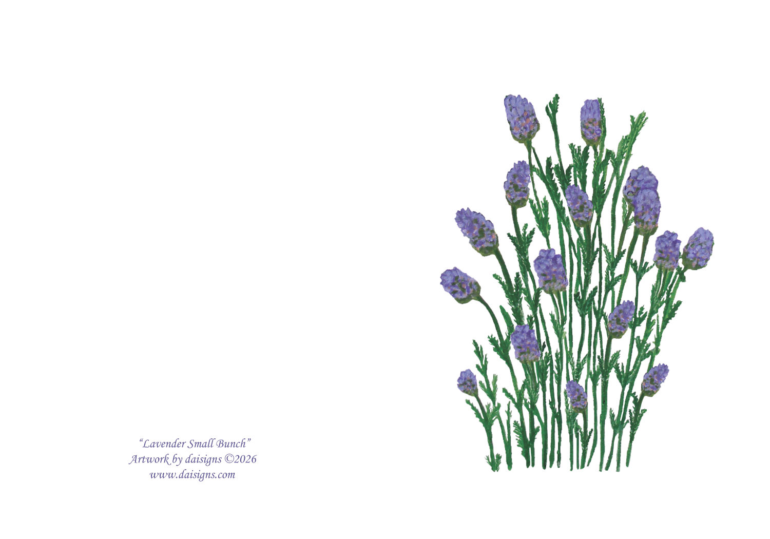 Illustration of a small bunch of lavender flowers on a white background