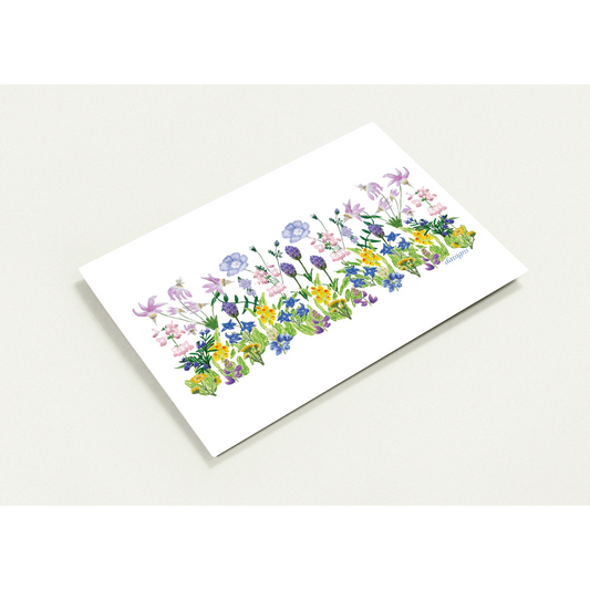 fa474bc6-cf9d-4ff3-be58-84cc5e1fd66f